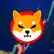 埃隆·马斯克的小狗，一种烧掉代币的新策略，以及一种迎头赶上的altcoins——加密货币Shiba-Inu的完美风暴